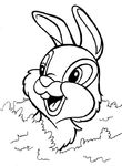 coloriage gratuit enfant Bambi