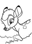 coloriage gratuit Bambi