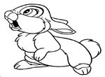 dessin gratuit Bambi