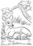 dessin gratuit Bambi