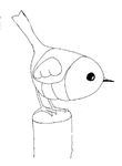 dessin gratuit Droles De Petites Betes