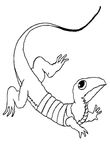 coloriage gratuit enfant Droles De Petites Betes