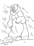 coloriage gratuit Frere Des Ours