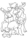 dessin gratuit Frere Des Ours