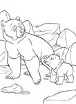 dessin gratuit Frere Des Ours