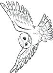 coloriage gratuit enfant Harry