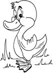 dessin gratuit Canards