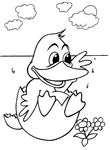 coloriage gratuit Canards