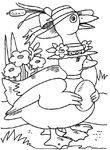 coloriage gratuit Canards