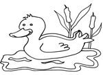 coloriage gratuit Canards