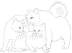 coloriage gratuit Chats