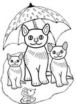 coloriage gratuit Chats