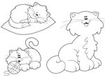 coloriage gratuit Chats