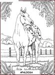 coloriage gratuit Chevaux