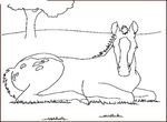 coloriage gratuit Chevaux