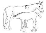 coloriage gratuit enfant Chevaux