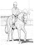 dessin gratuit Chevaux