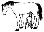 dessin gratuit Chevaux