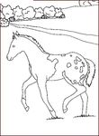 dessin gratuit Chevaux