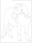 dessin gratuit Chevaux