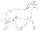 coloriage gratuit Chevaux