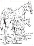 coloriage gratuit enfant Chevaux