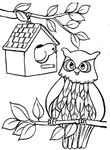 coloriage gratuit Chouettes