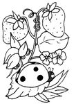 coloriage gratuit enfant Coccinelles