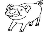 coloriage gratuit enfant Cochons