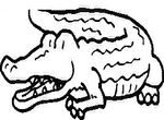 coloriage gratuit Crocodiles