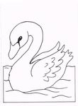 coloriage gratuit enfant Cygnes