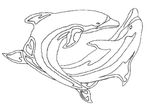 coloriage gratuit Dauphins