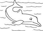 dessin gratuit Dauphins