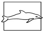 coloriage gratuit Dauphins