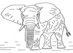 dessin gratuit Elephants