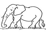 coloriage gratuit Elephants