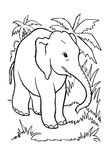 dessin gratuit Elephants