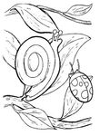 coloriage gratuit Escargots