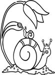 coloriage gratuit enfant Escargots