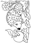 coloriage gratuit Herissons