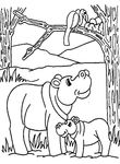 coloriage gratuit Hippopotames