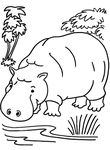 coloriage gratuit Hippopotames