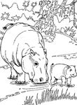 coloriage gratuit enfant Hippopotames