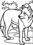 coloriage gratuit Loups