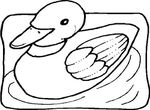 coloriage gratuit Oiseaux