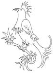 coloriage gratuit Oiseaux