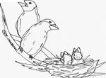 coloriage gratuit enfant Oiseaux