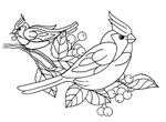 coloriage gratuit Oiseaux