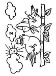 coloriage gratuit Oiseaux