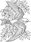 coloriage gratuit enfant Oiseaux